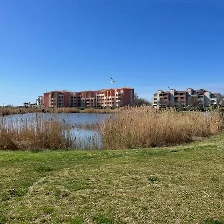 Apartamento Rdc 2 Chambres, Terrasse, A 200m Plage, Parking, Animaux Admis - Fr-1-749-89